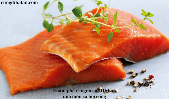 Khám phá vị ngon của Hà Lan qua món cá hồi sống